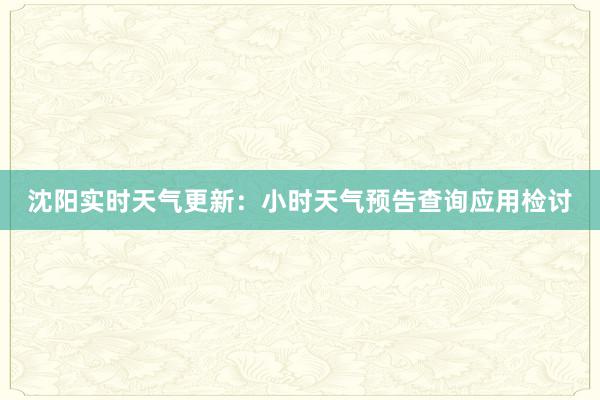 沈阳实时天气更新：小时天气预告查询应用检讨